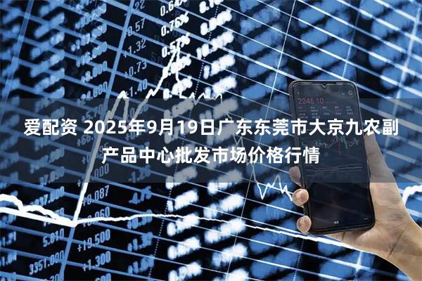 爱配资 2025年9月19日广东东莞市大京九农副产品中心批发市场价格行情