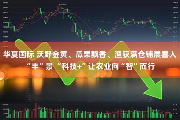 华夏国际 沃野金黄、瓜果飘香、渔获满仓铺展喜人“丰”景 “科技+”让农业向“智”而行