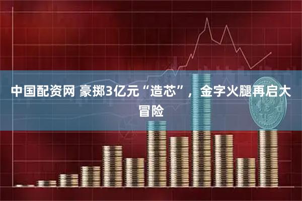 中国配资网 豪掷3亿元“造芯”，金字火腿再启大冒险