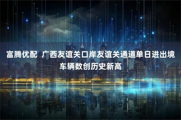 富腾优配  广西友谊关口岸友谊关通道单日进出境车辆数创历史新高