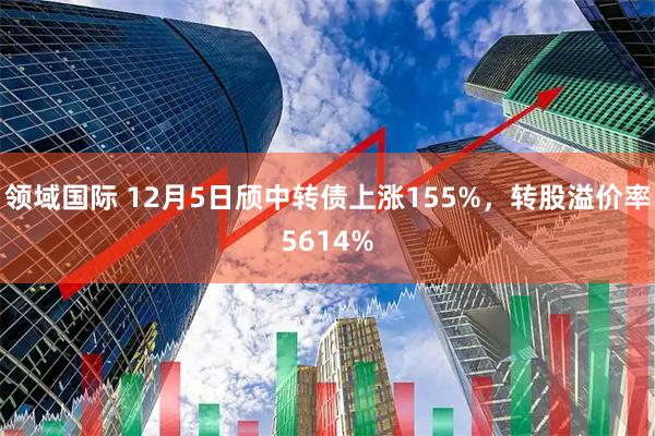 领域国际 12月5日颀中转债上涨155%，转股溢价率5614%
