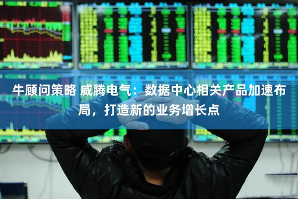 牛顾问策略 威腾电气：数据中心相关产品加速布局，打造新的业务增长点